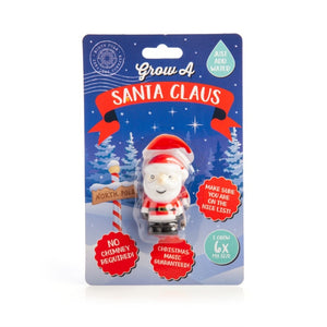 NNEDSZ Grow Santa