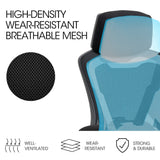 NNEDSZ FORTIA Ergonomic Office Desk Chair, Height Adjustable Lumbar Support, Mesh Fabric, Headrest, Black