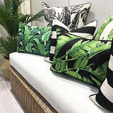 NNEDSZ Cushion Cover-With Black Piping-Deck Stripe Black / Natural Base-45cm x 45cm