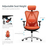NNEDSZ M18 Ergonomic Office Chair, Computer Chair Desk Chair High Back Chair Breathable,3D Armrest and Lumbar Support