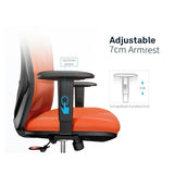 NNEDSZ M18 Ergonomic Office Chair, Computer Chair Desk Chair High Back Chair Breathable,3D Armrest and Lumbar Support