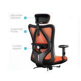 NNEDSZ M18 Ergonomic Office Chair, Computer Chair Desk Chair High Back Chair Breathable,3D Armrest and Lumbar Support