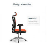 NNEDSZ M18 Ergonomic Office Chair, Computer Chair Desk Chair High Back Chair Breathable,3D Armrest and Lumbar Support