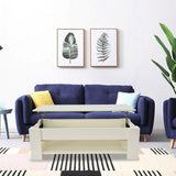 NNEDSZ Lift Up Coffee Table with Storage - White