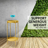 NNEDSZ 2 Set 50cm Gold Plant Stand Planter Shelf Rack 2 Tier Steel