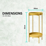 NNEDSZ 2 Set 50cm Gold Plant Stand Planter Shelf Rack 2 Tier Steel