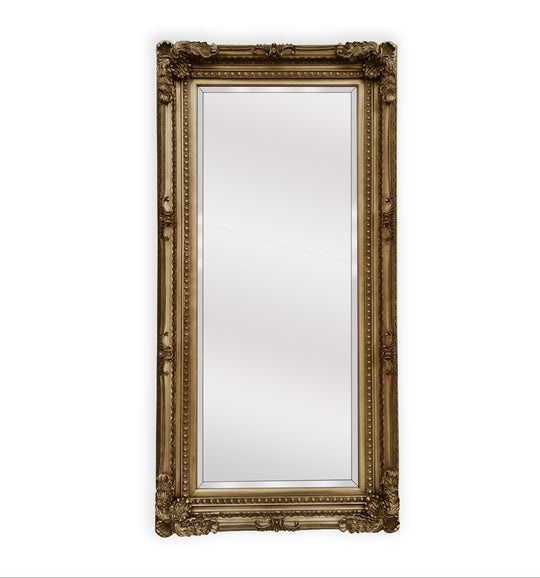 NNEDSZ French Provincial Ornate Mirror - Antique Champagne