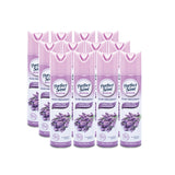 NNEDSZ Perfect Scent 24PCE Air Freshener Room Spray/Mist English Lavender Scent 200g