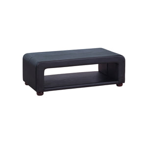 NNEDSZ Coffee Table Upholstered PU Leather in Black Colour with open storage