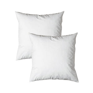 NNEDSZ Pair of Duck Feather Rich Fill European Cushion Inserter 65 x 65 cm