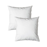 NNEDSZ Pair of Duck Feather Rich Fill European Cushion Inserter 65 x 65 cm