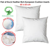 NNEDSZ Pair of Duck Feather Rich Fill European Cushion Inserter 65 x 65 cm