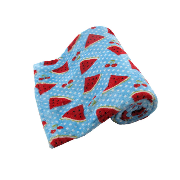 NNEDSZ 190GSM Girls Cute Ultra Soft Coral Fleece Throw 127 x 152cm Watermelon & Cherries