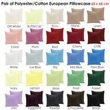 NNEDSZ Pair of Polyester Cotton European Pillowcases Ice Blue