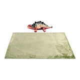 NNEDSZ Dino Novelty Cushion/Throw