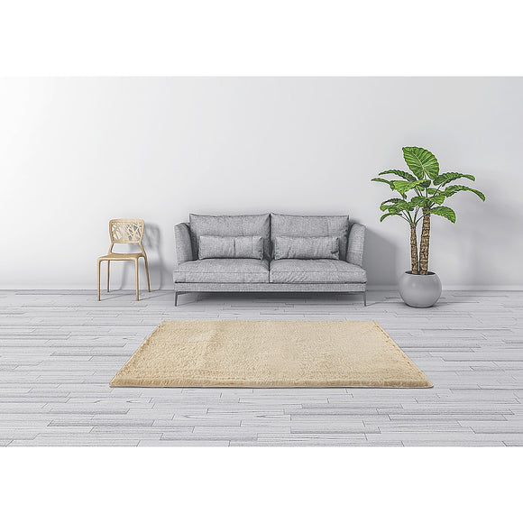 NNEDSZ 200x140cm Floor Rugs Large Shaggy Rug Area Carpet Bedroom Living Room Mat - Beige