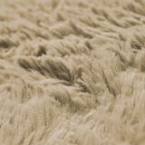NNEDSZ 200x140cm Floor Rugs Large Shaggy Rug Area Carpet Bedroom Living Room Mat - Beige