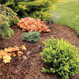 NNEDSZ 50M Hose Garden Irrigation System Plant Watering DIY Micro Drip Kits