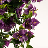 NNEDSZ Hanging Artificial Bougainvillea Plant Purple UV Resistant 90cm