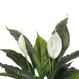 NNEDSZ Artificial Spathiphyllum Peace Lily Plant with White Flowers 60cm