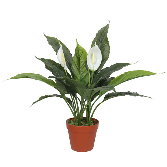 NNEDSZ Artificial Spathiphyllum Peace Lily Plant with White Flowers 60cm