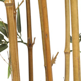 NNEDSZ Premium Natural Cane Artificial Bamboo (UV Resistant) 150cm