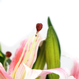 NNEDSZ Premium Faux Pink Lily In Glass Vase (Artificial Tiger Lily Arrangement)