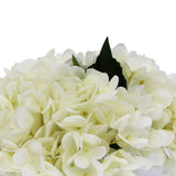 NNEDSZ Premium Faux Hydrangea With Glass Vase (Artificial Flowering White Hydrangea) 23cm