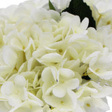NNEDSZ Premium Faux Hydrangea With Glass Vase (Artificial Flowering White Hydrangea) 23cm