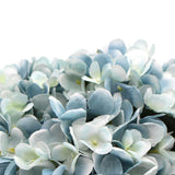 NNEDSZ Premium Faux Hydrangea With Glass Vase (Artificial Flowering Blue Hydrangea) 23cm