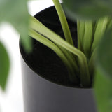 NNEDSZ Dense Potted Artificial Split Philodendron Plant With Real Touch Leaves 50cm