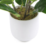 NNEDSZ Decorative Potted Dense Artificial Fiddle Leaf Fig In Beautiful Decorative Bowl 37cm