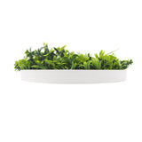 NNEDSZ Flowering White Artificial Green Wall Disc UV Resistant 100cm (White Frame)