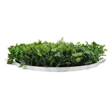 NNEDSZ Slimline Artificial Green Wall Disc Art 80cm Mixed Green Fern & Ivy (White)