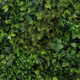 NNEDSZ Slimline Artificial Green Wall Disc Art 80cm Mixed Green Fern & Ivy (White)