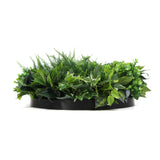 NNEDSZ Slimline Artificial Green Wall Disc Art 60cm Mixed Green Fern & Ivy (Black)