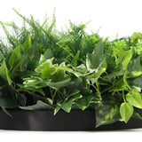 NNEDSZ Slimline Artificial Green Wall Disc Art 60cm Mixed Green Fern & Ivy (Black)