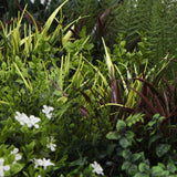 NNEDSZ Slimline Artificial Green Wall Disc Art 100cm Green Field UV Resistant (Fresh White)