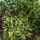 NNEDSZ Slimline Artificial Green Wall Disc Art 100cm Green Field UV Resistant (Black)