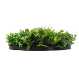 NNEDSZ Slimline Artificial Green Wall Disc Art 80cm Mixed Green Fern & Ivy (Modern Black)