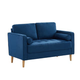 NNEDSZ 2 Seater Sofa Loveseat couch Blue