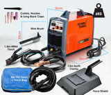 NNEMB 220 Amp GTAW Stick Gas Tungsten Arc Portable Inverter TIG Welder-with Accessories