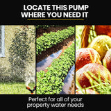 NNEMB Multi-stage Water Hi-pressure Pump with Auto-controller Home Garden Irrigation 4-Stage Electric