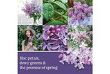 NNEKG Original Large Jar Candle Lilac Blossoms (623g)
