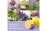NNEKG Original Large Jar Candle Lemon Lavender (623g)