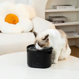 NNETM Smart USB-Powered 2.2L Pet Water Fountain for Cats and Dogs - Black