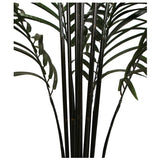 NNEDSZ Areca Palm Black Trunks 190 cm