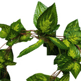 NNEDSZ Pothos / Ivy Hanging Vines 260cm Each (5 pack)