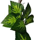 NNEDSZ Pothos / Ivy Hanging Vines 260cm Each (5 pack)
