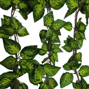 NNEDSZ Pothos / Ivy Hanging Vines 260cm Each (5 pack)